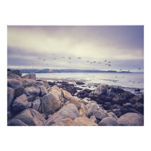 Peaceful Morning Photo Print