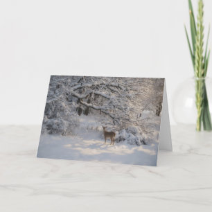 Peaceful Nature Scene Deer Snow Christmas Card