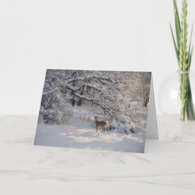 Peaceful Nature Scene Deer Snow Christmas Card (Front)