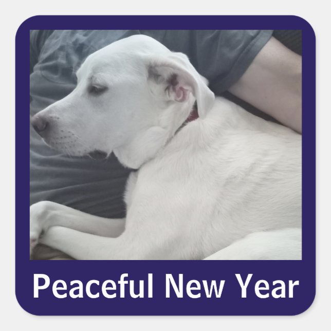 Peaceful New Year Cute Dog Photo with Dad Blue Square Sticker (Front)