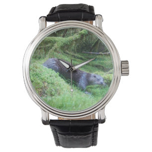 Peaceful Otter Riverside Wildlife Nature Scene Watch