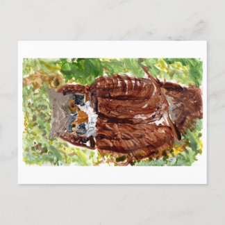 Peaceful owl with green background postcard