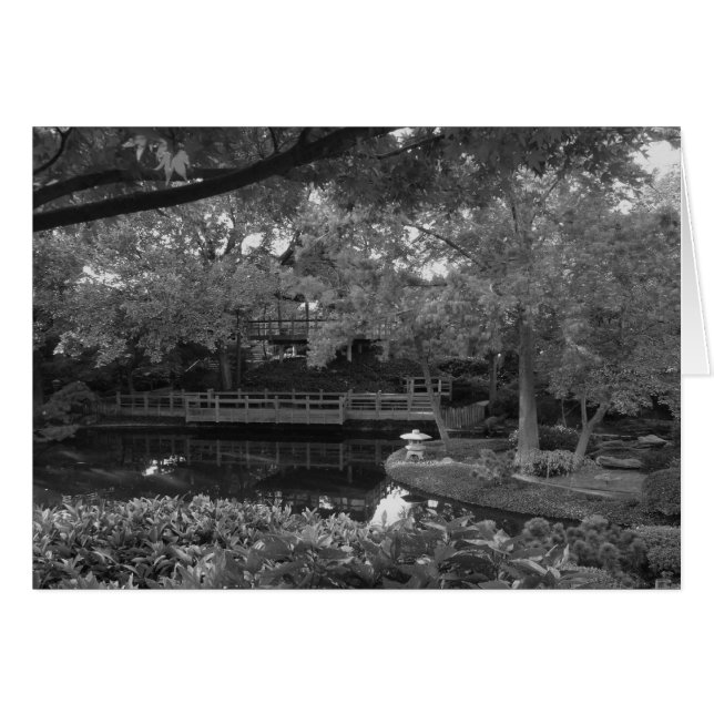 Peaceful Path (Front Horizontal)