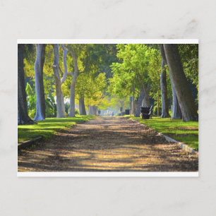 Peaceful Path Postcard