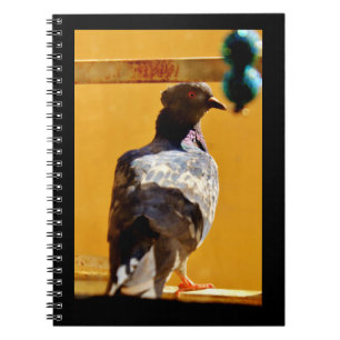 Peaceful Pigeon Notebook