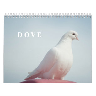 Peaceful Pigeons and Elegant Doves Nature Inspired Calendar