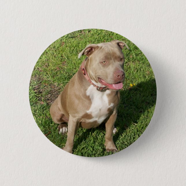 Peaceful Pitbull 6 Cm Round Badge (Front)