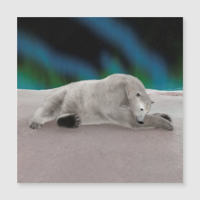 Peaceful Polar Bear Arctic Nature Illustration (Front)