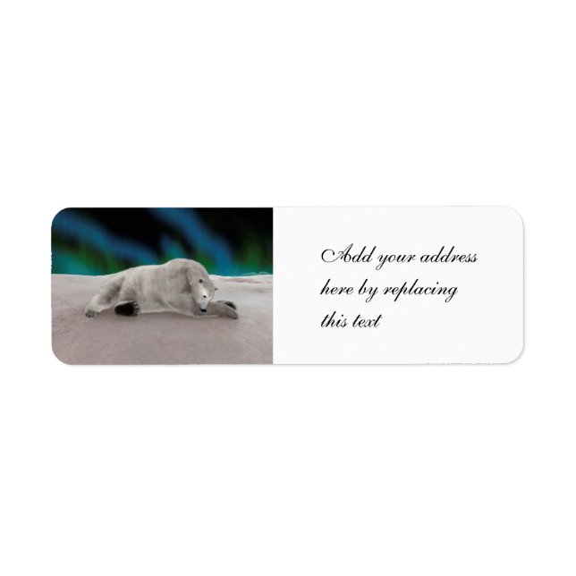 Peaceful Polar Bear Arctic Nature Illustration (Front)