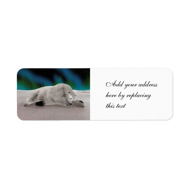 Peaceful Polar Bear Arctic Nature Illustration (Front)