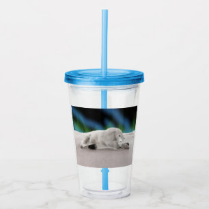 Peaceful Polar Bear Arctic Nature Illustration Acrylic Tumbler