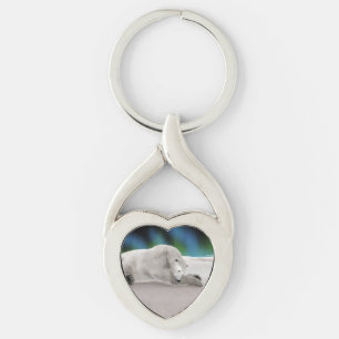 Peaceful Polar Bear Arctic Nature Illustration Key Ring