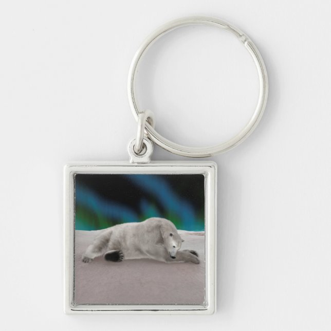 Peaceful Polar Bear Arctic Nature Illustration Key Ring (Front)