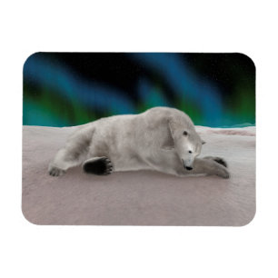Peaceful Polar Bear Arctic Nature Illustration Magnet