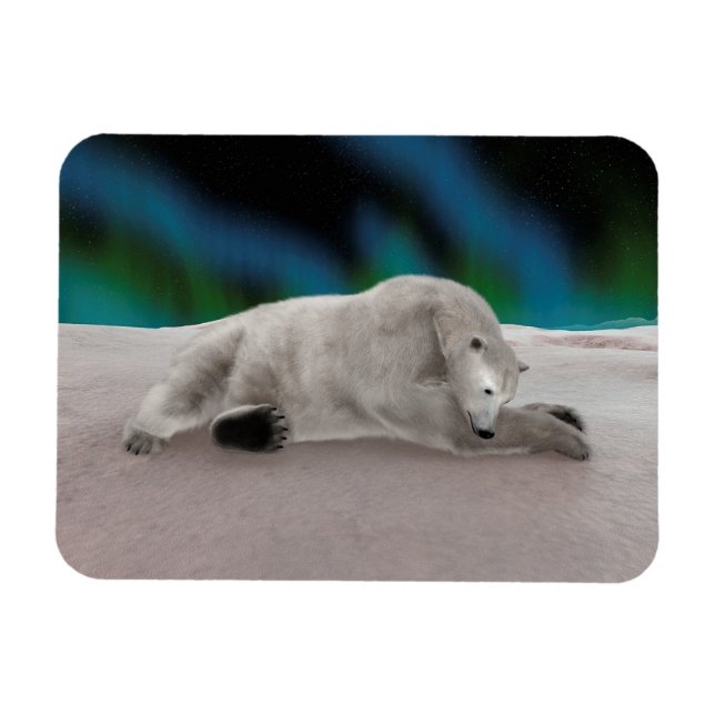 Peaceful Polar Bear Arctic Nature Illustration Magnet (Horizontal)