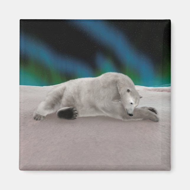 Peaceful Polar Bear Arctic Nature Illustration Magnet (Front)