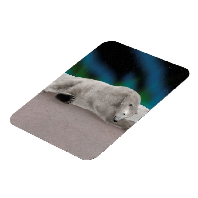 Peaceful Polar Bear Arctic Nature Illustration Magnet (Left Side)