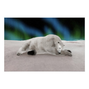 Peaceful Polar Bear Arctic Nature Illustration Poster