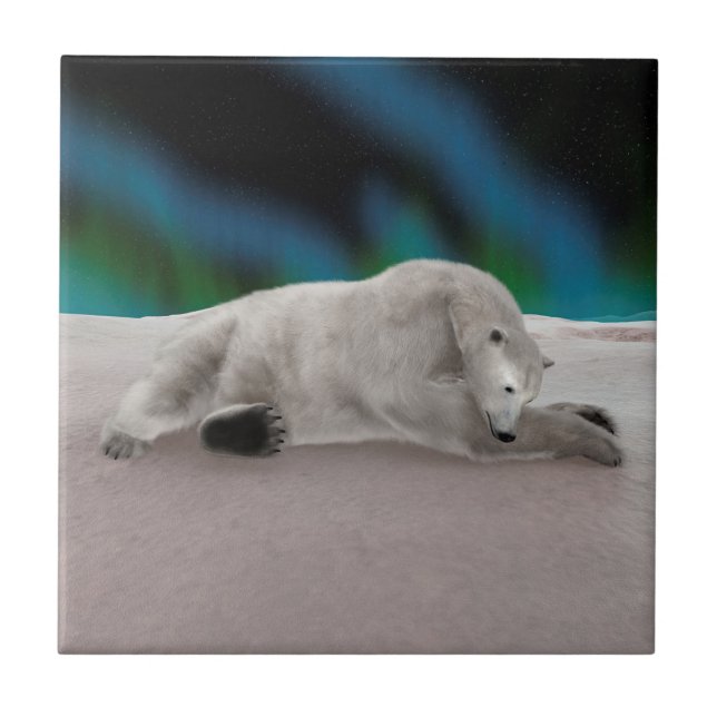 Peaceful Polar Bear Arctic Nature Illustration Tile (Front)