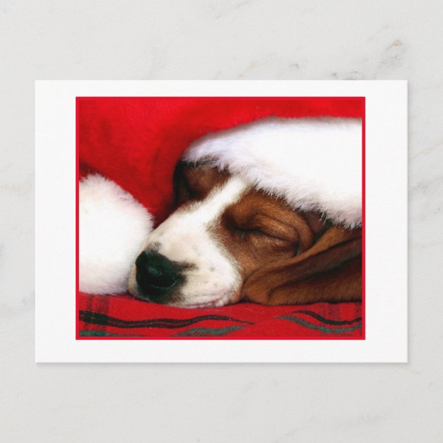 Peaceful  Puppy Holiday Postcard (Front)