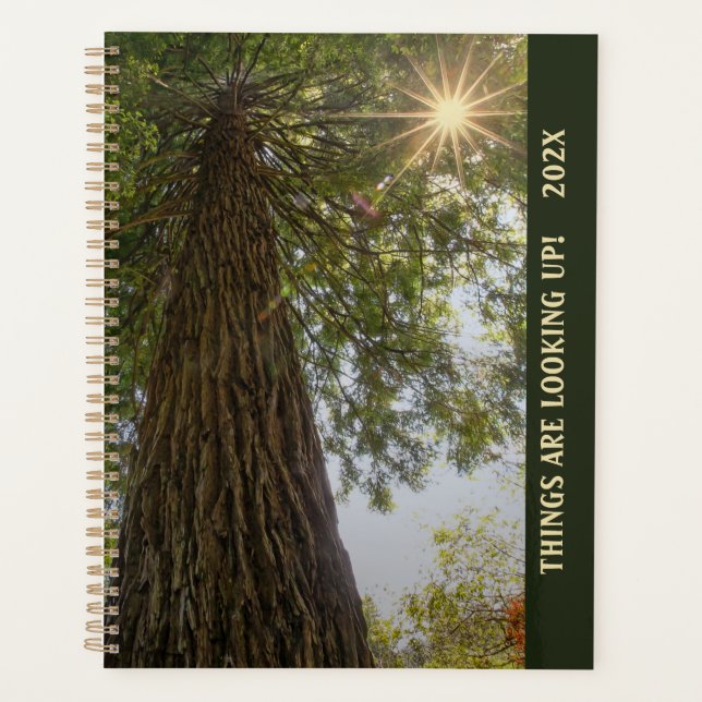 Peaceful Sequoia Photograph with Sunburst Planner (Front)