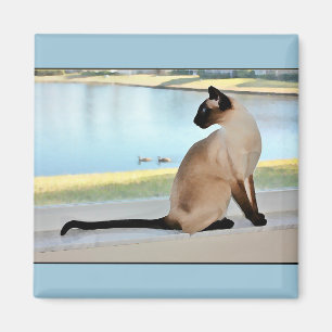 Peaceful Siamese Cat Painting Magnet