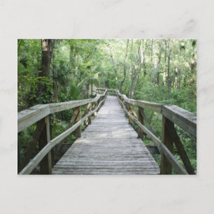 Peaceful Stroll Postcard