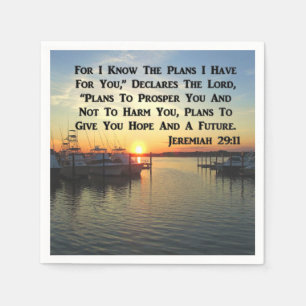 PEACEFUL SUNSET ON THE LAKE NAPKIN