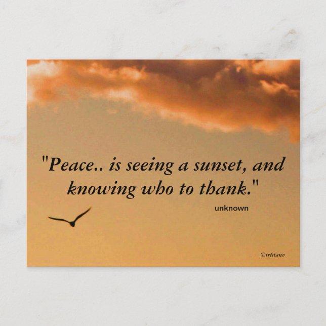 Peaceful Sunset Postcard (Front)