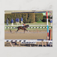 Peaceful Talk Wins on New Year's Day