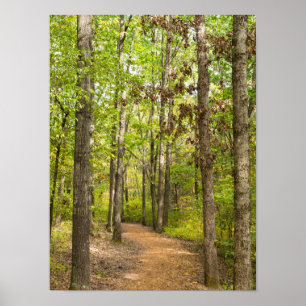 Peaceful Walk Poster