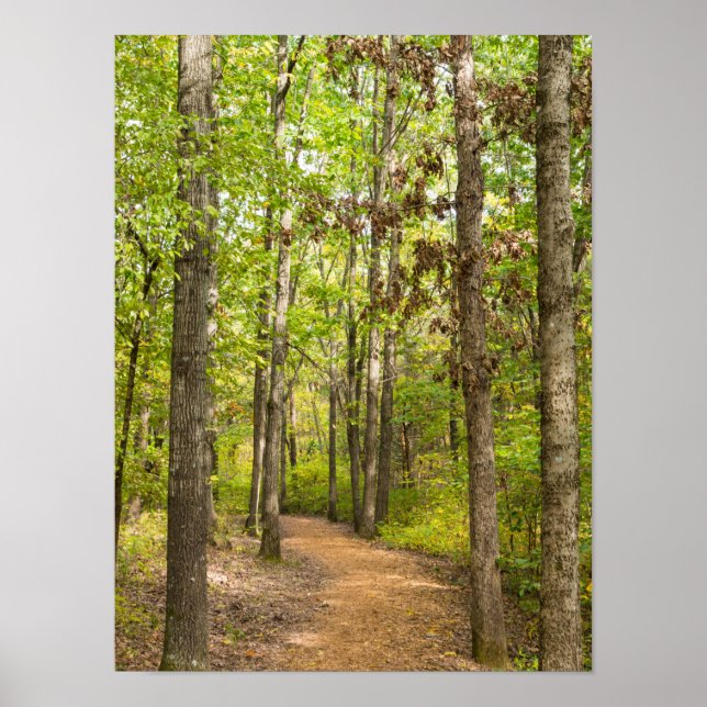 Peaceful Walk Poster (Front)
