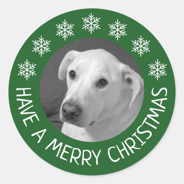 Peaceful White Dog Photo Merry Christmas Green Classic Round Sticker (Front)