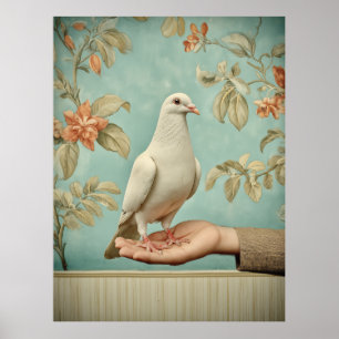 Peaceful White Dove Poster