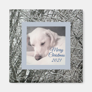 Peaceful White Puppy Dog Snowy Day Christmas Magne Magnet