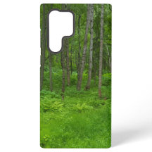 Peaceful Woodland Nature Aesthetic