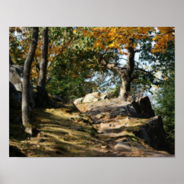 Peaceful Woodland Path Nature Orton Art Poster (Front)