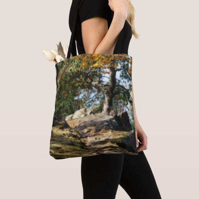Peaceful Woodland Path Nature  Tote Bag (Close Up)