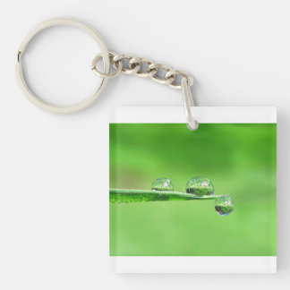 Peaceful zen green grass with dew drops nature key ring