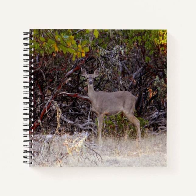 Peacefully... Notebook (Front)