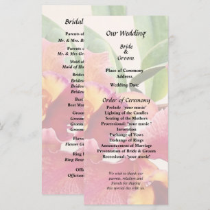 Peach and Crimson Cattleya Orchids Programme