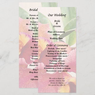 Peach and Crimson Cattleya Orchids Programme