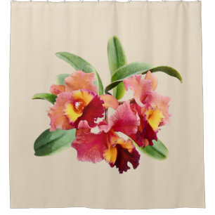 Peach and Crimson Cattleya Orchids Shower Curtain