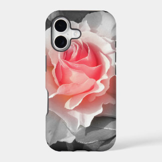 Peach Bliss Rose