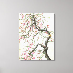 Peach blossom (colour on paper) canvas print