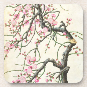 Peach blossom (colour on paper) coaster