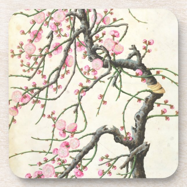 Peach blossom (colour on paper) coaster (Front)