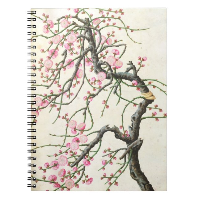 Peach blossom (colour on paper) spiral notebook (Front)