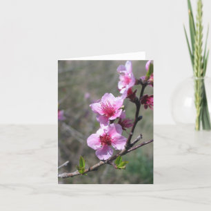 Peach Blossom - Customised Card