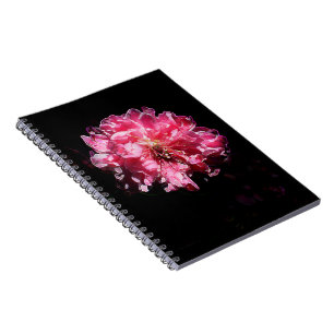 Peach Blossom Flower Spiral Notebook